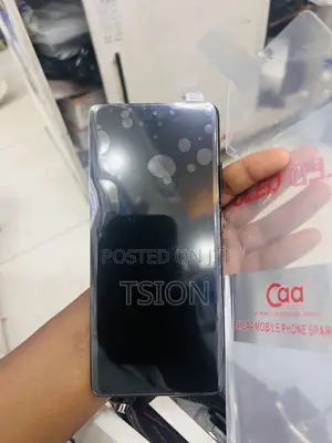S21 Ultra Screen