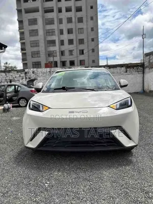 New BYD Seagull 2025 White