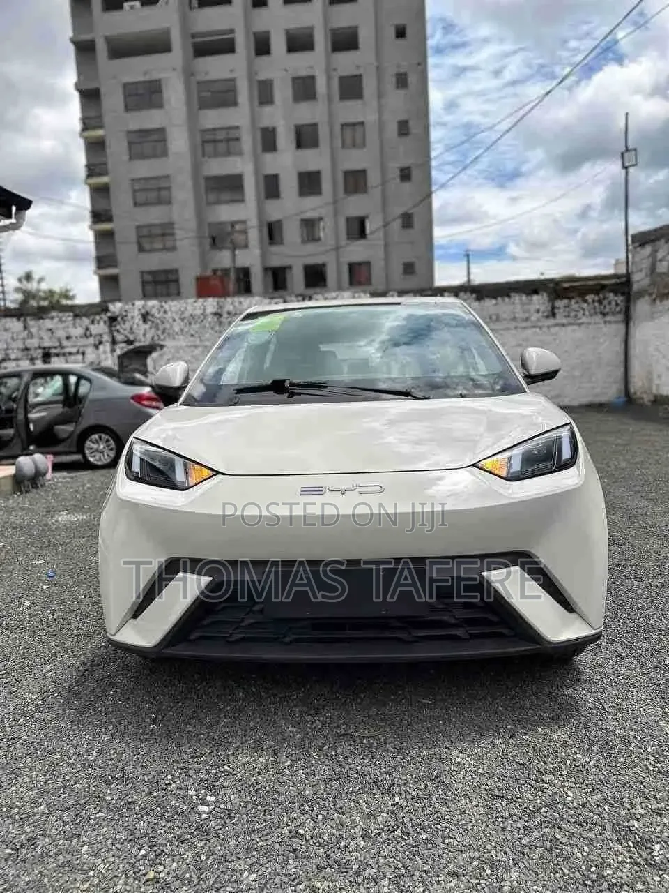 New BYD Seagull 2025 White