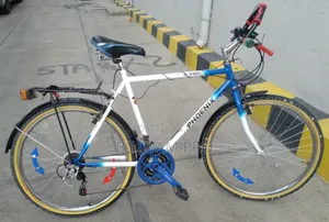 Original Phoenix Bicycle for Sale