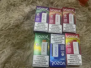 Vozol Vpe 12000