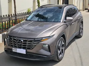 Hyundai Tucson 2022 Brown