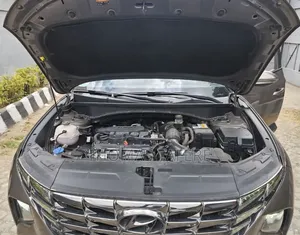 Hyundai Tucson 2022 Brown
