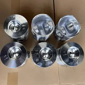 Piston and Bela (Spare Parts)