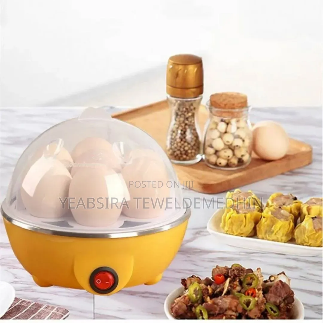 Electric Egg Poacher