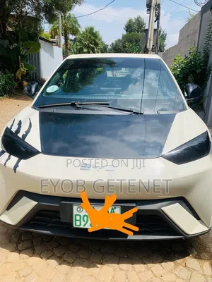 BYD Seagull 2025 Off white