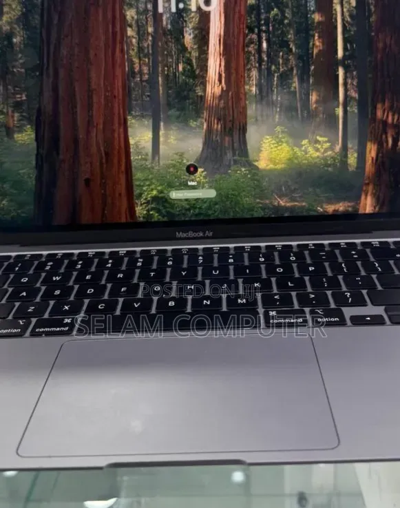 New Laptop Apple MacBook Air 2020 8GB Intel Core i3 SSD 256GB
