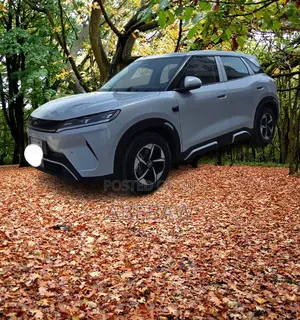 BYD Yuan Up 2025