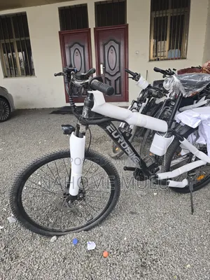 Ev Bike (Electric Bike)