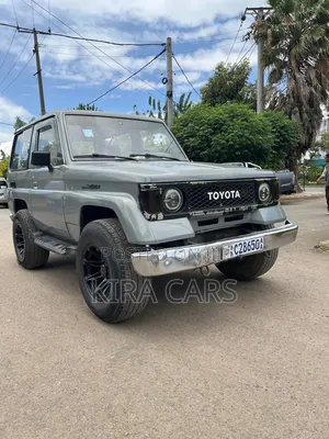 Toyota Land Cruiser 1995 Gray