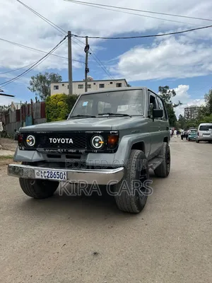 Toyota Land Cruiser 1995 Gray
