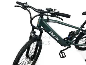 Pigeon Ebike