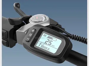 Pigeon Ebike