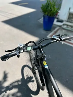 Pigeon Ebike