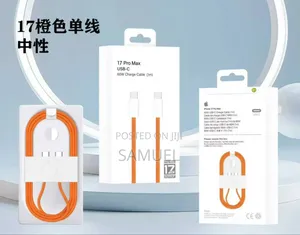 45w Orginal Car Charger