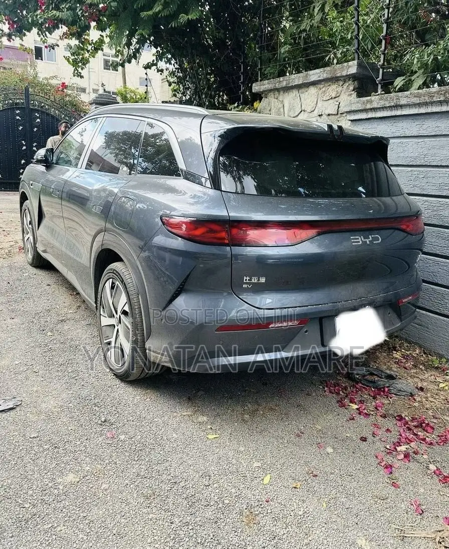 BYD Tang EV 2025