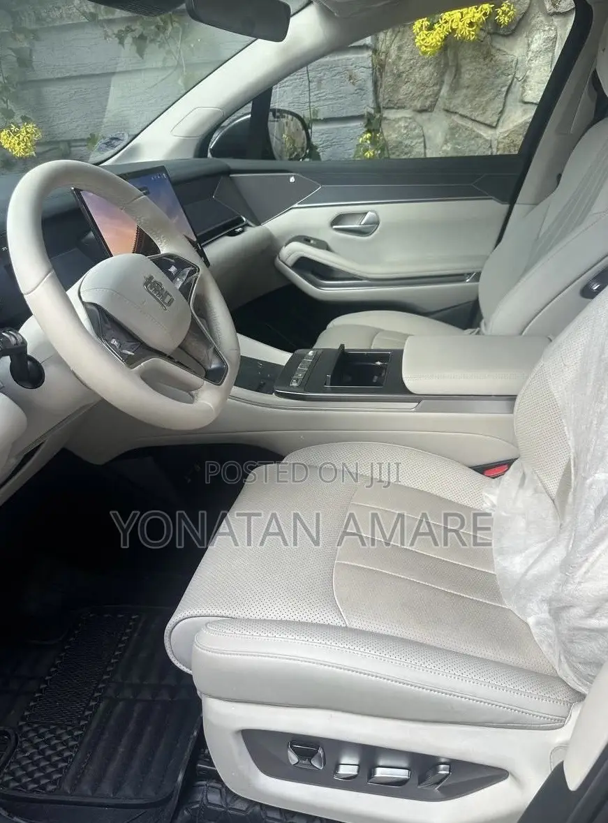 BYD Tang EV 2025