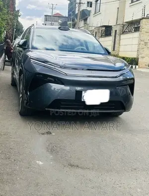 BYD Tang EV 2025