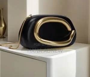 Women Hand Bag