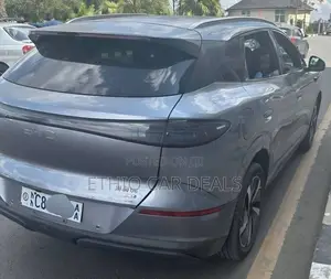 BYD Sealion 06 EV 2025 Gray