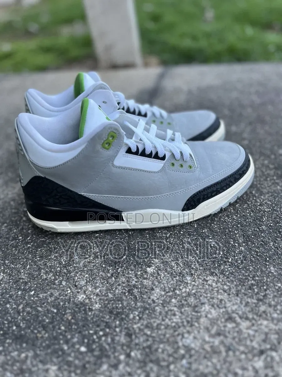 Nike Air Jordan 3 Retro "Chlorophyll "Gray Suede With Green Shoes
