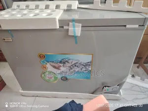 Seco Dep Freezer 320