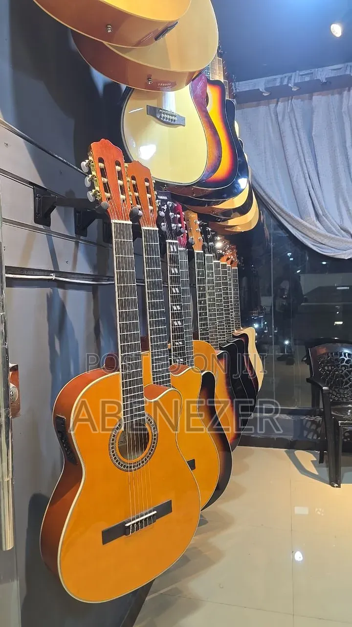Grace Musical Instruments Shops