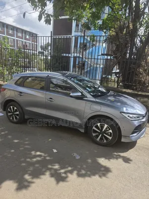 BYD Seagull 2024