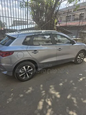 BYD Seagull 2024
