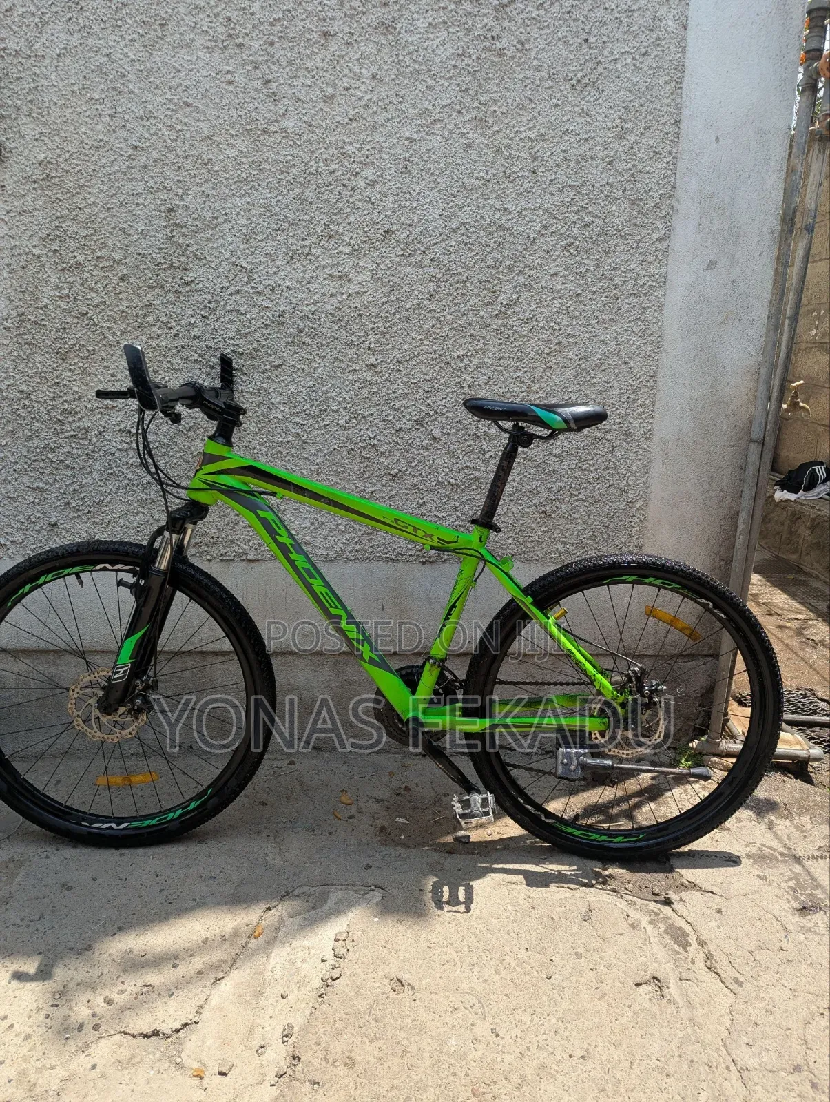 Bicycle Phoniex