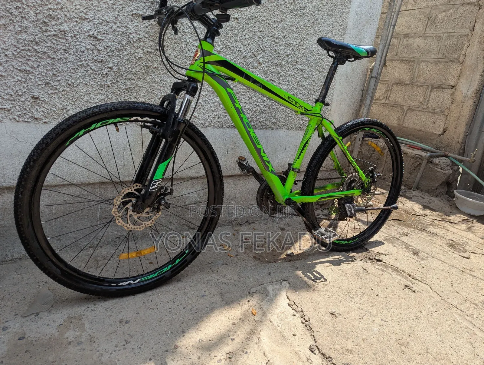 Bicycle Phoniex