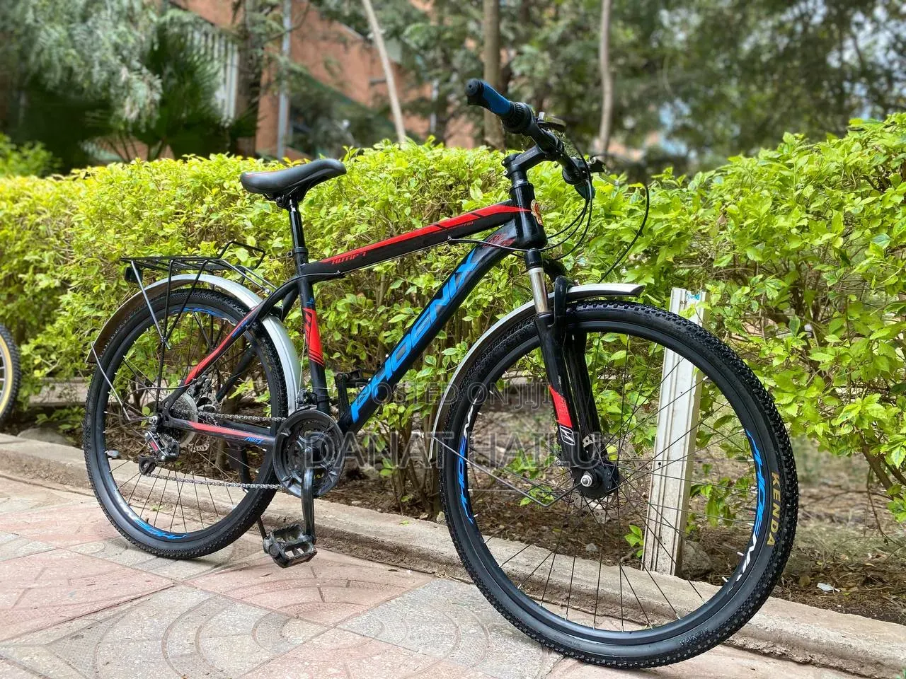 Phonex Bike Bicycle