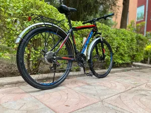 Phonex Bike Bicycle