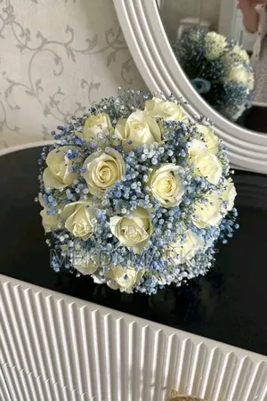 White Rose Flower