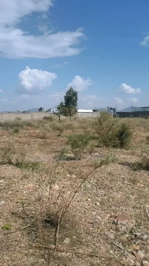 Rent for Warehouse