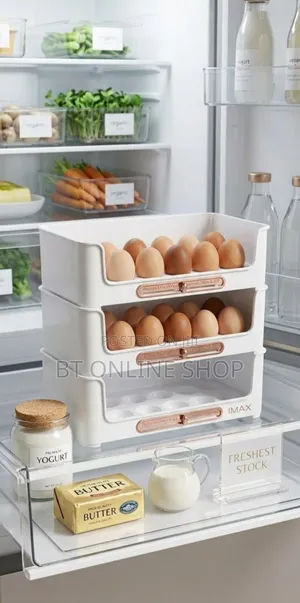 ቦታ ቆጣቢ የእንቁላል ማስቀመጫ
