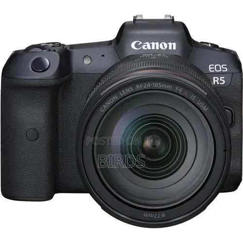 Mirrorless Camera