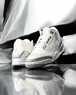 Nike Air Jordan 3 Retro Sail/Cement Gray Metallic Silver Unisex Shoes