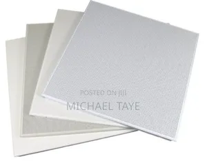 Aluminum Ceiling