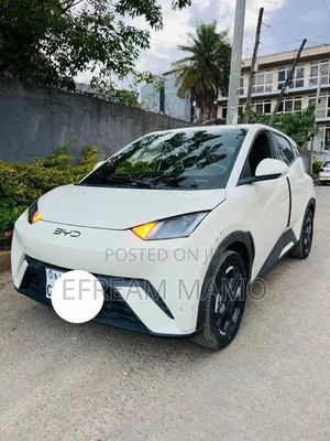 BYD Seagull 2025 White