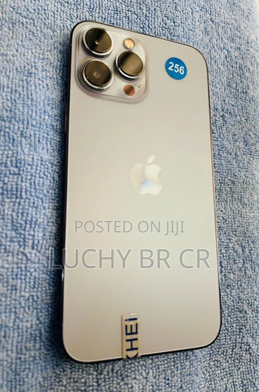 New Apple iPhone 13 Pro Max 256 GB Gray