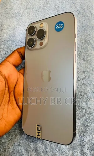 New Apple iPhone 13 Pro Max 256 GB Gray