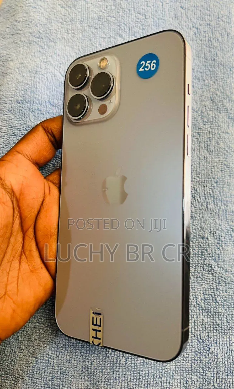 New Apple iPhone 13 Pro Max 256 GB Gray