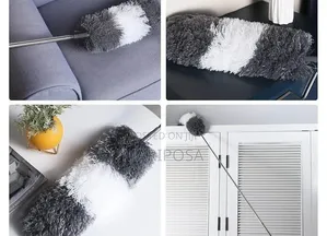 Microfiber Duster With Telescope Extension Pole