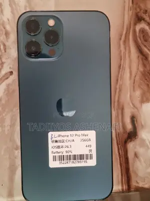 Apple iPhone 12 Pro Max 256 GB Gray