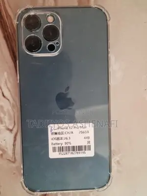 Apple iPhone 12 Pro Max 256 GB Gray