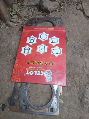 Iveco Pump Tentatively Had Gasket