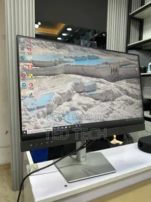 24 Inch Dell