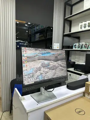 24 Inch Dell