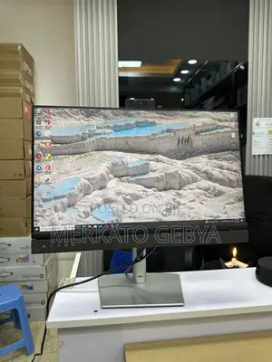 24 Inch Dell